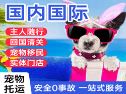 保山云瑞机场邮寄国际宠物托运 【国